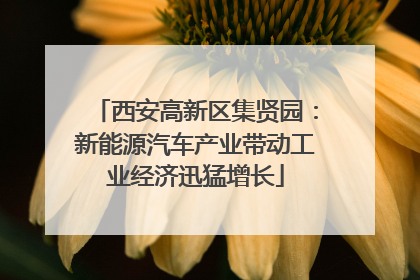 西安高新区集贤园：新能源汽车产业带动工业经济迅猛增长
